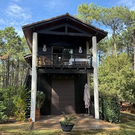 Du Golf Apartment Lacanau